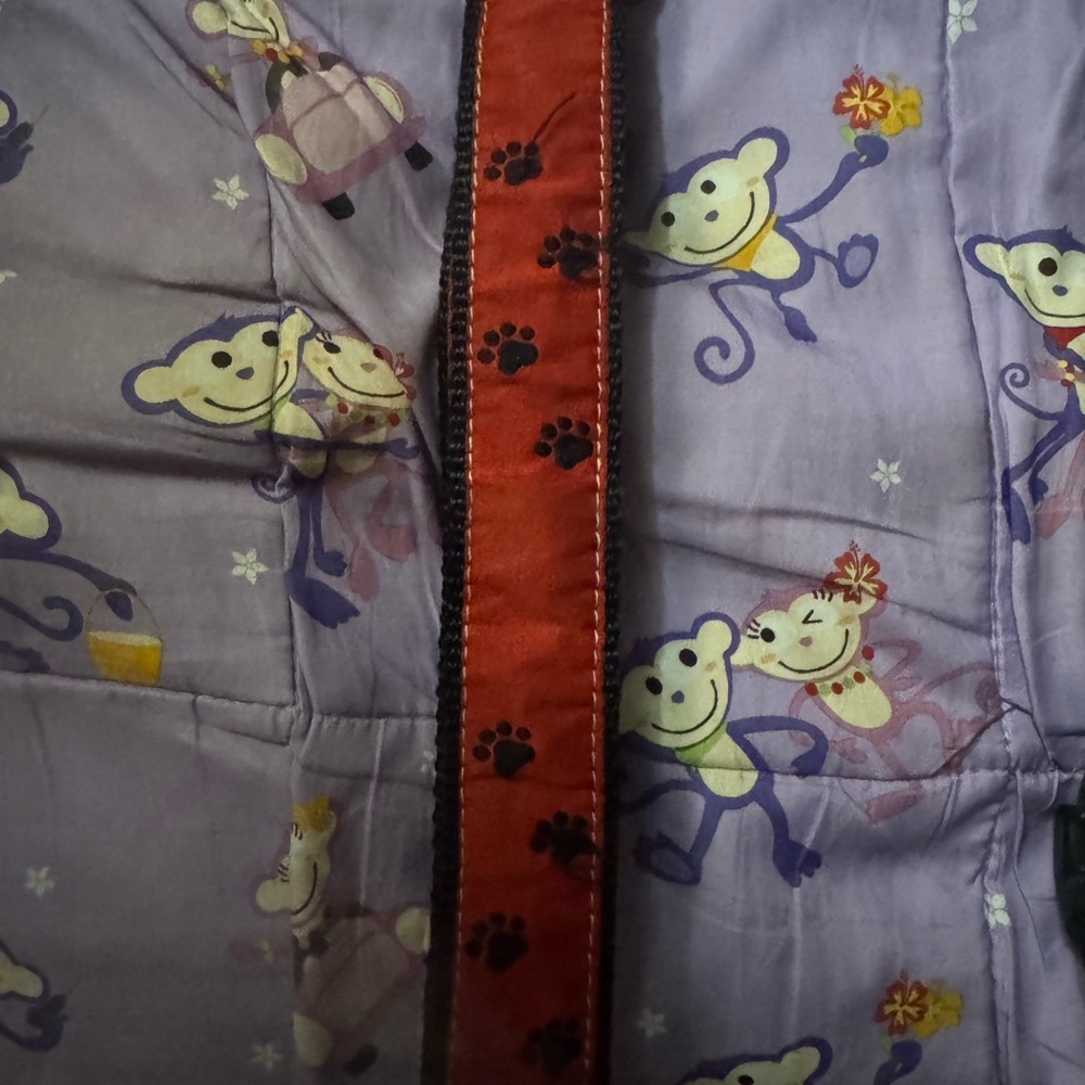 Red Velvet Dog Collar with Black Paw Print Accent